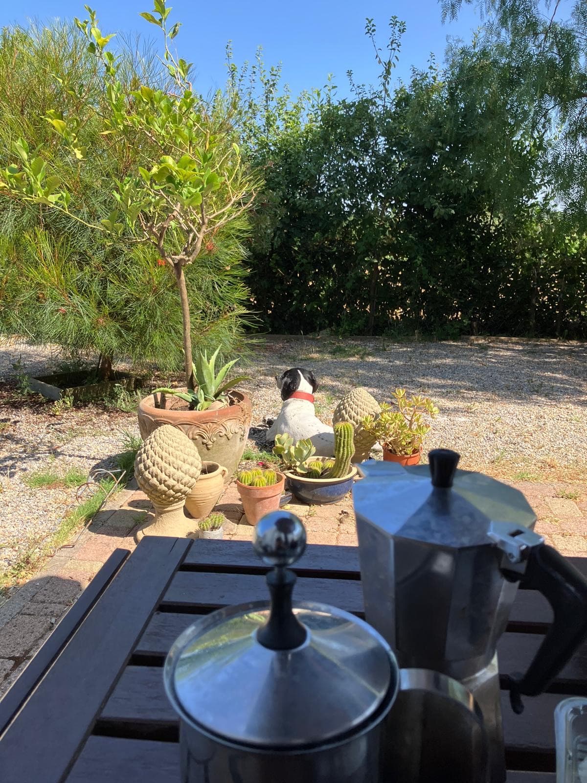 Garden pathway leading through landscaped areas and trees
